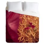 Funda de edredon Deny Designs Bird Wanna Whistle Peony Moment 12660-duvqun diseno floral peonia tamano Queen