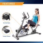 Bicicleta estática reclinada magnética Marcy NS-40502R 8 niveles de resistencia