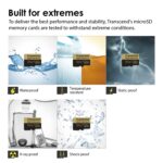 TRANSCEND INFORMACIÓN Tarjeta Microsd de alta resistencia de 32 GB con adaptador (TS32GUSDHC10V)