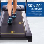 Caminadora Plegable XTERRA TR300 Superficie Grande Antideslizante Motor Silencioso
