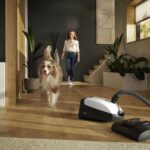 Aspiradora de Contenedor Miele Classic C1 10639470 con Bolsa para Pelo de Mascotas, Motor PowerLine 1200W, Portátil, Lot
