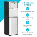 Dispensador de agua eléctrico sin garrafón Avalon A13 tres temperaturas reloj digital autolimpieza acero inoxidable