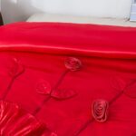 Juego de ropa de cama con edredón y volantes Tache Home Fashion VEHY4174-CK California King rojo