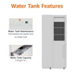 Deshumidificador Basics MDUDP-35AEN1-BA8 35 Pintas Energy Star para Espacios hasta 2500 pies² con Reinicio Automático