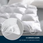 Edredón de fibra de plumón Serta Blue Ridge Home Fashions SE010216 100% algodón 300 hilos 500 poder de relleno talla Kin
