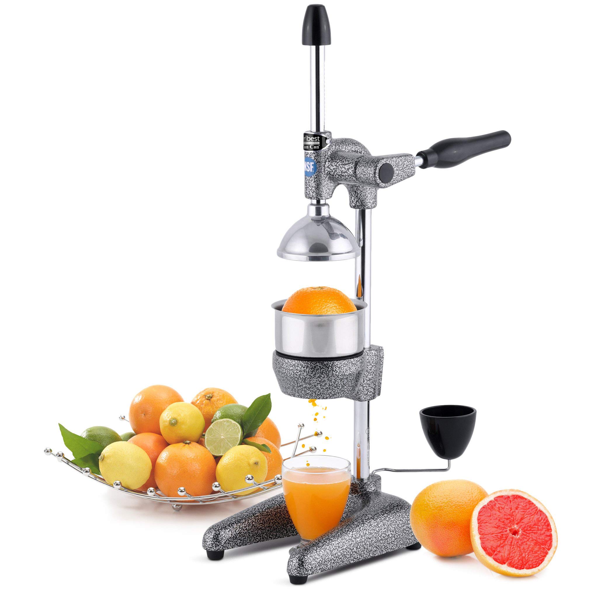 Version 1.0.0 Tribest Pro MJP-100 Profesional Exprimidor de Prensa en Frío Manual para Naranja, Limón y Otras Frutas Cítricas, Gris