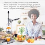 Tribest Pro MJP-100 Profesional Exprimidor de Prensa en Frío Manual para Naranja, Limón y Otras Frutas Cítricas, Gris