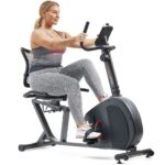 Bicicleta Estática Reclinada Inteligente Sunny Health Fitness SF-RB421004 resistencia magnética 8 niveles asiento ajusta