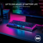 Teclado mecánico inalámbrico Razer BlackWidow V3 Mini HyperSpeed RZ03-03892000-R3M1 65% interruptores verdes táctiles te