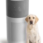 Purificador de aire CleanForce CP-Rainbow True HEPA carbono para habitaciones hasta 209 metros cuadrados control WiFi Al