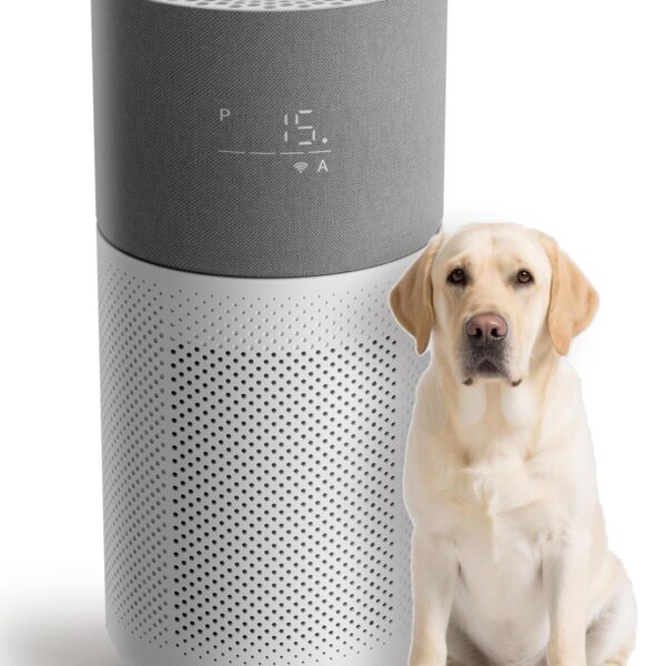 Purificador de aire CleanForce CP-Rainbow True HEPA carbono para habitaciones hasta 209 metros cuadrados control WiFi Al