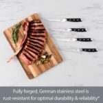All-Clad - Juego de cuchillos para carne forjados de acero inoxidable alemán de 4 piezas, completamente forjados, precis