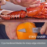 All-Clad - Juego de cuchillos para carne forjados de acero inoxidable alemán de 4 piezas, completamente forjados, precis