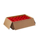 WILSON TRU 32 Pro Pickleball Case - 48 bolas, color rojo