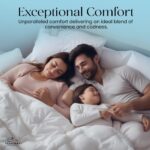 Edredon de plumon de ganso y plumas East Coast Bedding Cozy Dream 2575 Queen 86x86 pulgadas algodon organico blanco 50 o