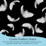 Edredon de plumon de ganso y plumas East Coast Bedding Cozy Dream 2575 Queen 86x86 pulgadas algodon organico blanco 50 o