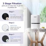 Humidificador y purificador de aire LEVOIT 6L con filtro HEPA para dormitorio habitación grande y hogar filtro para humo
