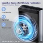 Paquete LEVOIT Purificador de Aire con Filtro Lavable Monitor de Calidad 3 Canales y Humidificador Inteligente OasisMist