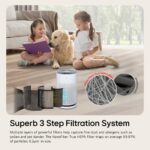 Purificador de aire LG PuriCare 360 AS601HBB0 filtro NanoFiber True HEPA habitaciones grandes hasta 191 m2 WiFi negro