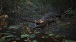 Metal Gear Solid Delta Snake Eater Edición Coleccionista Konami 20361 PlayStation 5