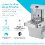 Bebedero de pared con estación de llenado de botellas Avalon A51 enfriador de agua con sensor autolimpieza pantalla digi