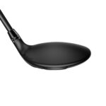 DS-Adapt X Fairway