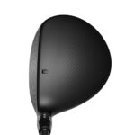 DS-Adapt LS Fairway