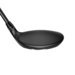 DS-Adapt LS Fairway