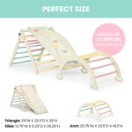 Delta Children Lil' Climber Gym - Gimnasio de escalada en interiores / gimnasio de la jungla para niños - Juguete Montes