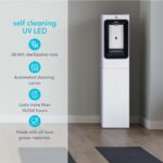 Dispensador Llenador de Botellas de Agua Avalon A52 Independiente con Sensor Limpieza UV Pantalla Digital Filtración Dua