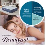 Colchón de aire individual elevado Beautyrest Supreme Boyd Sleep MM10917TW bomba incorporada vinilo resistente apagado a