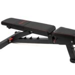 PowerBench 2.0 - Banco de pesas ajustable, 7 posiciones, ruedas y mango integrados, equipo innovador para gimnasios domé