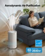 Purificador de aire para habitaciones grandes Coway AP-1924A BG filtro HEPA verdadero hasta 245 m2 modo Turbo Eco para p