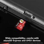 Lexar Tarjeta microSD Express Play PRO de 1 TB, UHS-I, C10, U3, V30, Full HD, 4K, tarjeta de memoria de hasta 900/600 MB