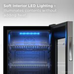 Enfriador de Bebidas Frigobar Minibar Refrigerador Compacto TCLAPL TRV050FAS