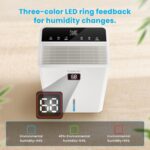 Deshumidificador Candy CAS-CF40W-US 100 Pintas por día para hasta 5500 pies cuadrados WiFi control Alexa manguera de dre