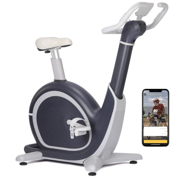 Bicicleta Estatica Magnetica PioneerWorks 350 lb Resistencia 36 Niveles App LCD