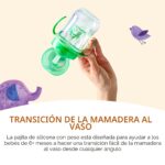 Marca Amazon – Mama Bear - Vaso sorbo de silicona con peso, 9 onzas, azul/verde (paquete de 24)