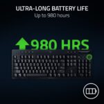 Teclado Gaming Inalámbrico Perfil Bajo Razer BlackWidow V4 HyperSpeed RZ03-05270900-R3U1 Interruptores Mecánicos Naranja