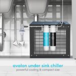 Enfriador de agua bajo tarja Avalon A40-CCF de alta capacidad con filtración dual certificado NSF