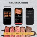 Typhur Sync Dual Gen 2 WiFi Termómetro inalámbrico para carne, 2 sondas, base inteligente, pantalla LCD, alcance ilimita
