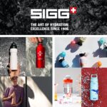 Botella de agua para niños SIGG WMB ONE Brave Eagle 9002.4 de aluminio azul claro 20 oz sin BPA hermética ligera