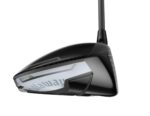 WD RH QTM MX DR 9.0 DEN FRST SLV 50GRREG