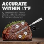 Termómetro Inalámbrico Inteligente para Carne CHEF iQ Sense CQ60-2C-Z3-E-CA | 2 Sondas WiFi | 5 Sensores | 1000°F | Parr