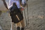 Bolsas ecuestres HEVER