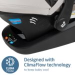 Maxi-COSI Mico Pro+ - Asiento infantil para automóvil, concha de ostra