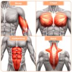PeakPursuit gimnasio en casa