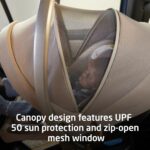 Maxi-COSI Ambra - Asiento infantil para automóvil, trufa