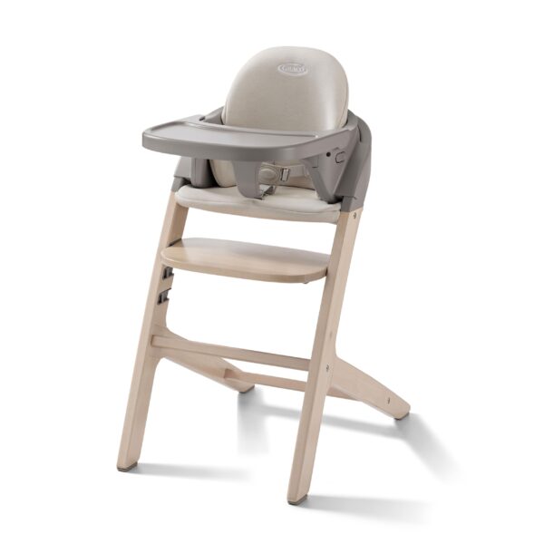 Graco Close2Baby 2-in-1 Highchair