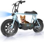 Caroma Peak - Patinete eléctrico de 1200 W con asiento, motocicleta eléctrica de 16 pulgadas con neumáticos gruesos, ran